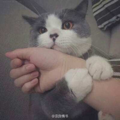 陪审团裁定Meta 与谷歌在社交媒体成瘾案中均需承担法律责任。
